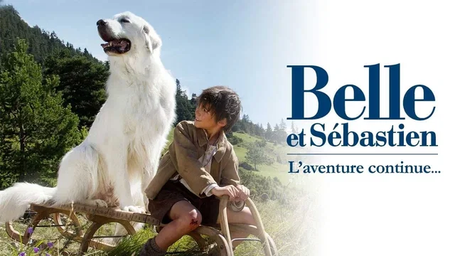 Photo du film : Belle et Sébastien : l'aventure continue