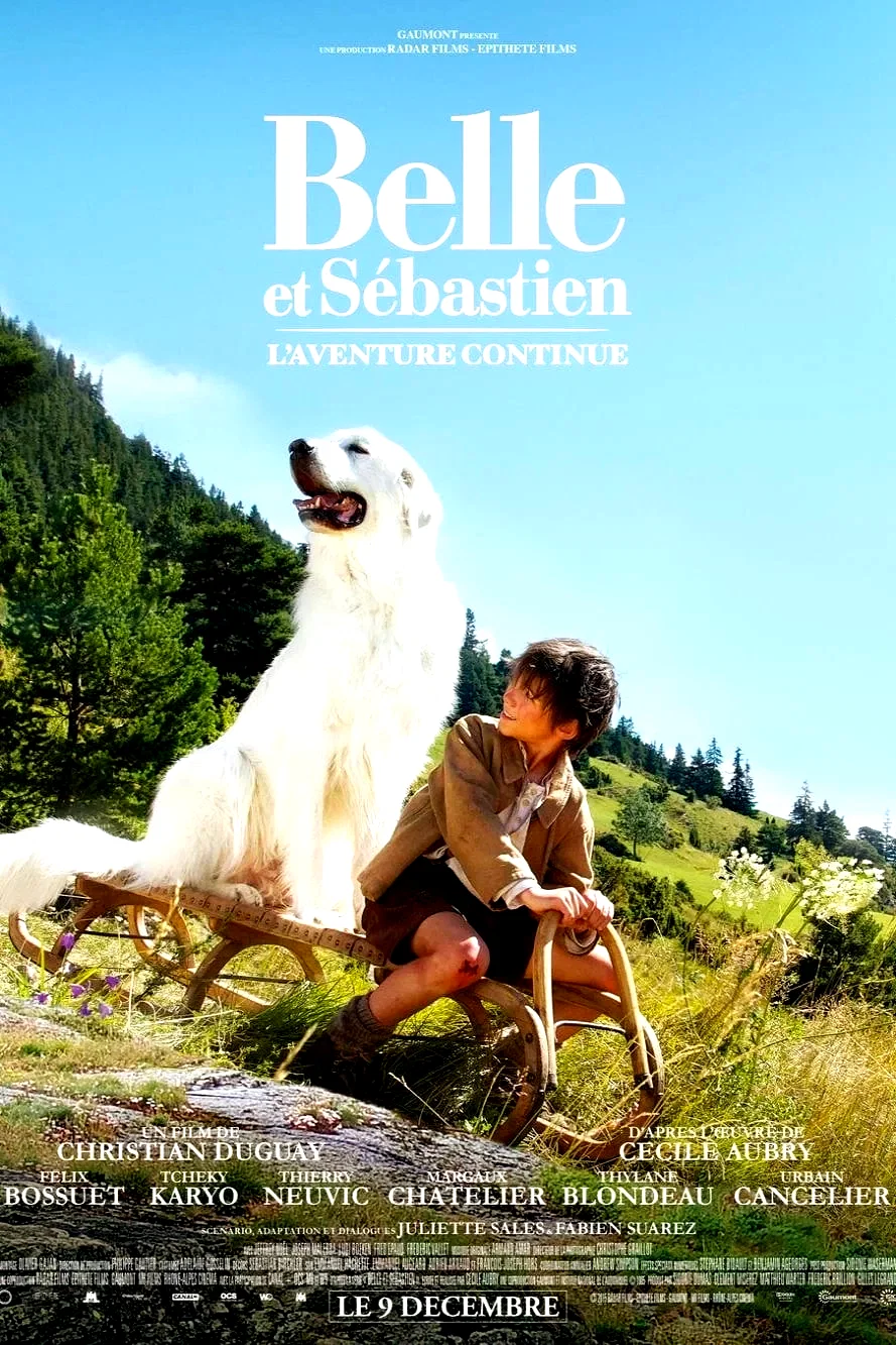 Photo 6 du film : Belle et Sébastien : l'aventure continue