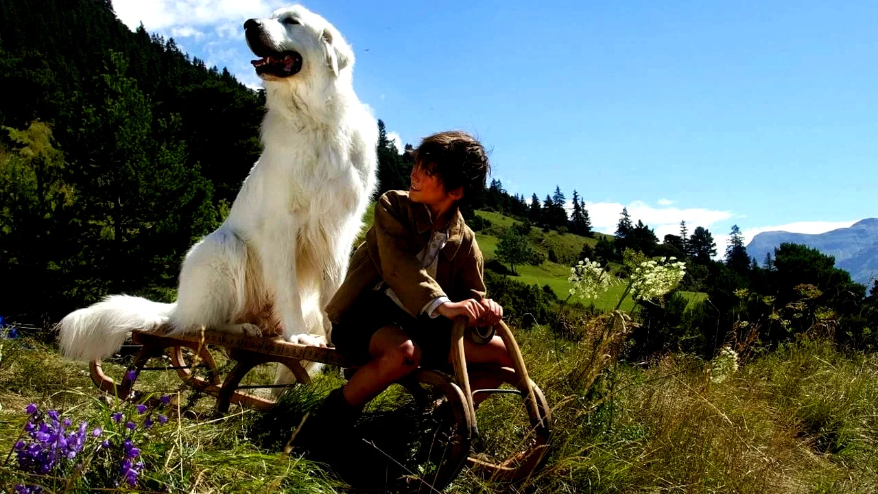 Photo 9 du film : Belle et Sébastien : l'aventure continue
