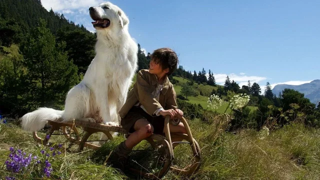 Affiche du film : Belle et Sébastien : l'aventure continue
