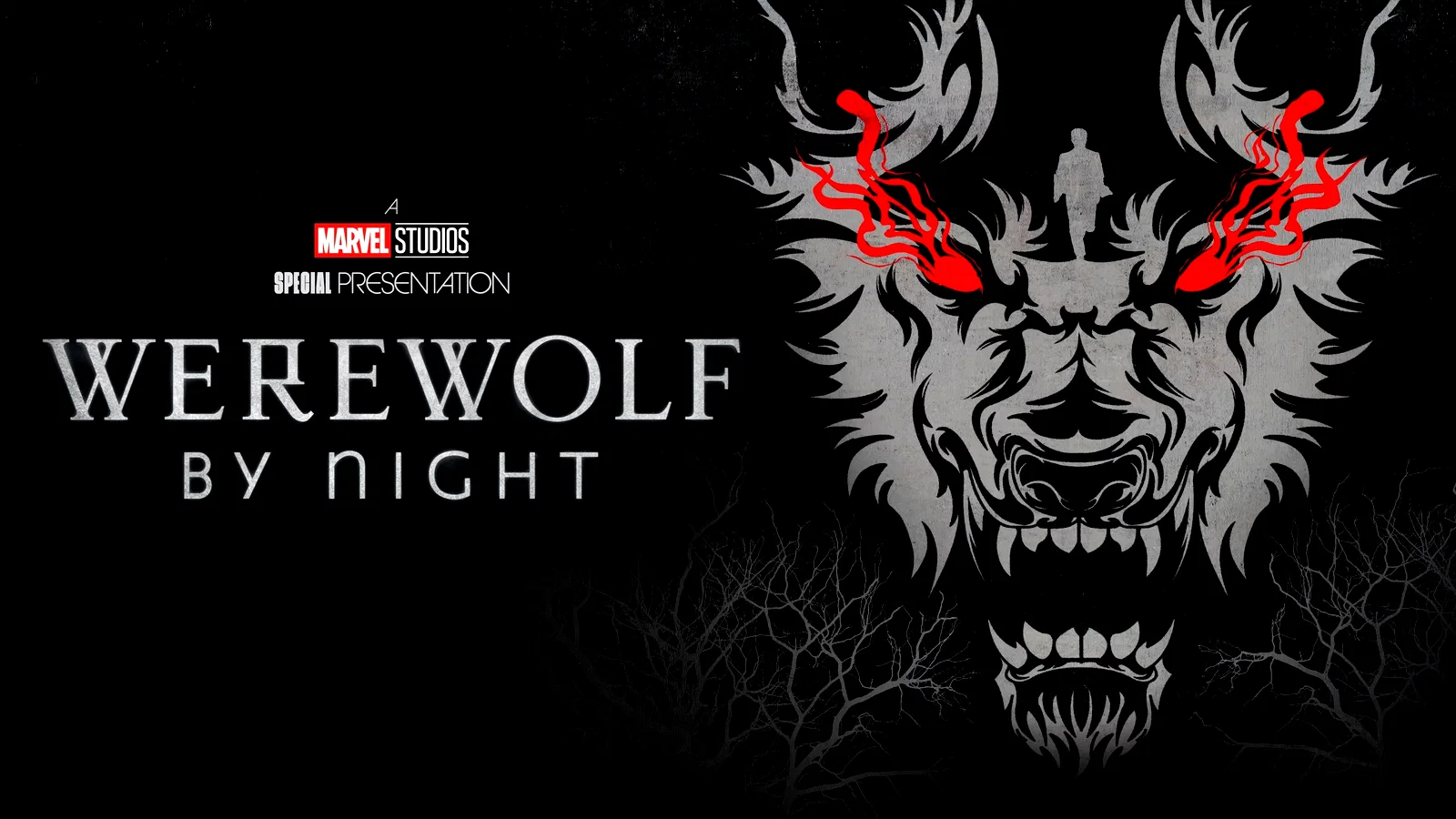 Photo 1 du film : Werewolf by Night