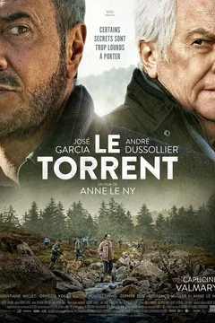 Affiche du film = Le torrent