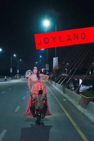 Photo 5 du film : Joyland