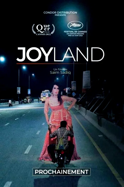 Photo 7 du film : Joyland