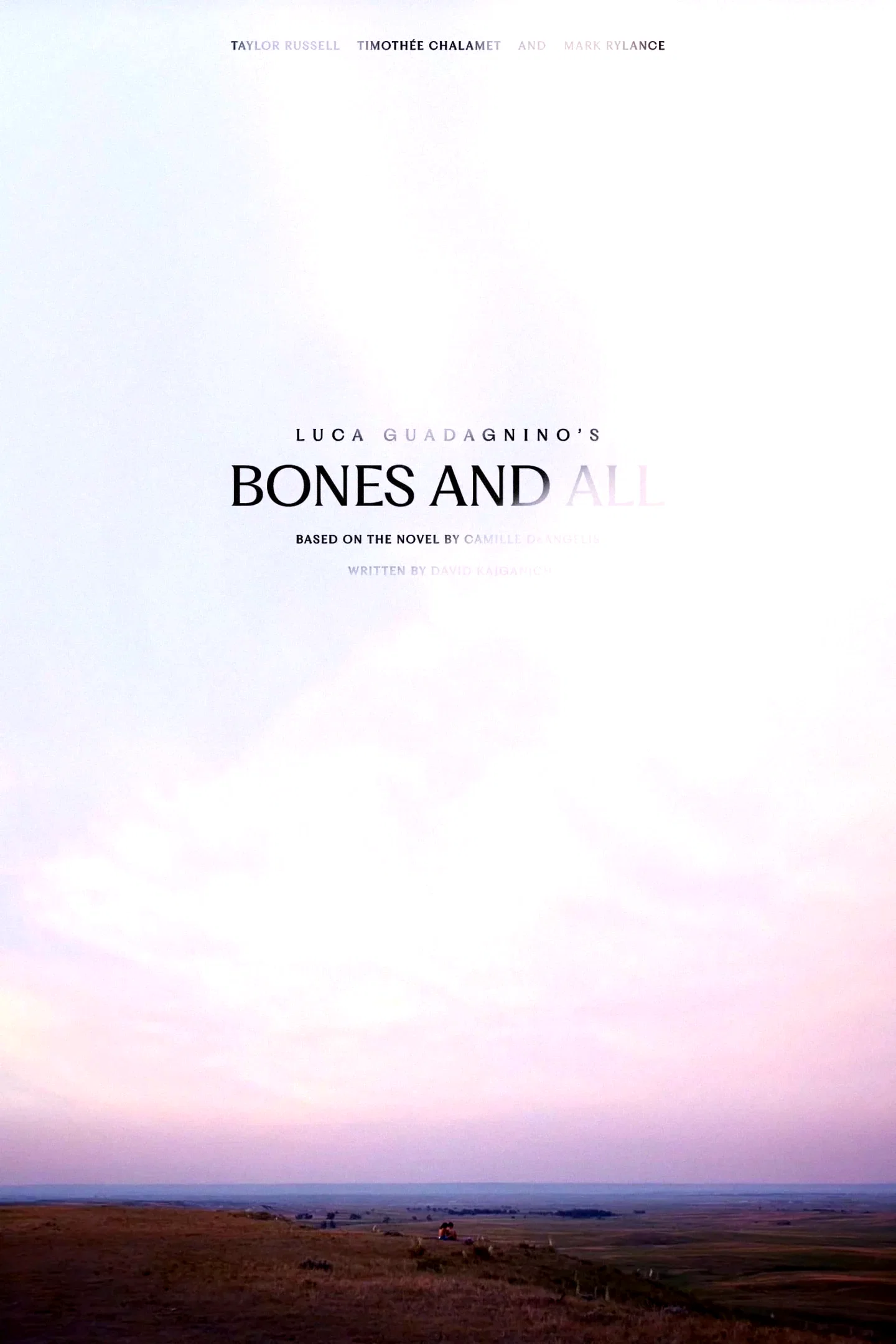 Photo 5 du film : Bones and All