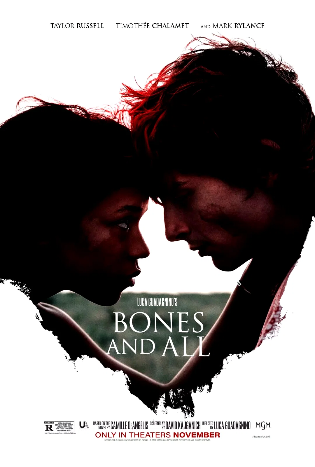 Photo 7 du film : Bones and All