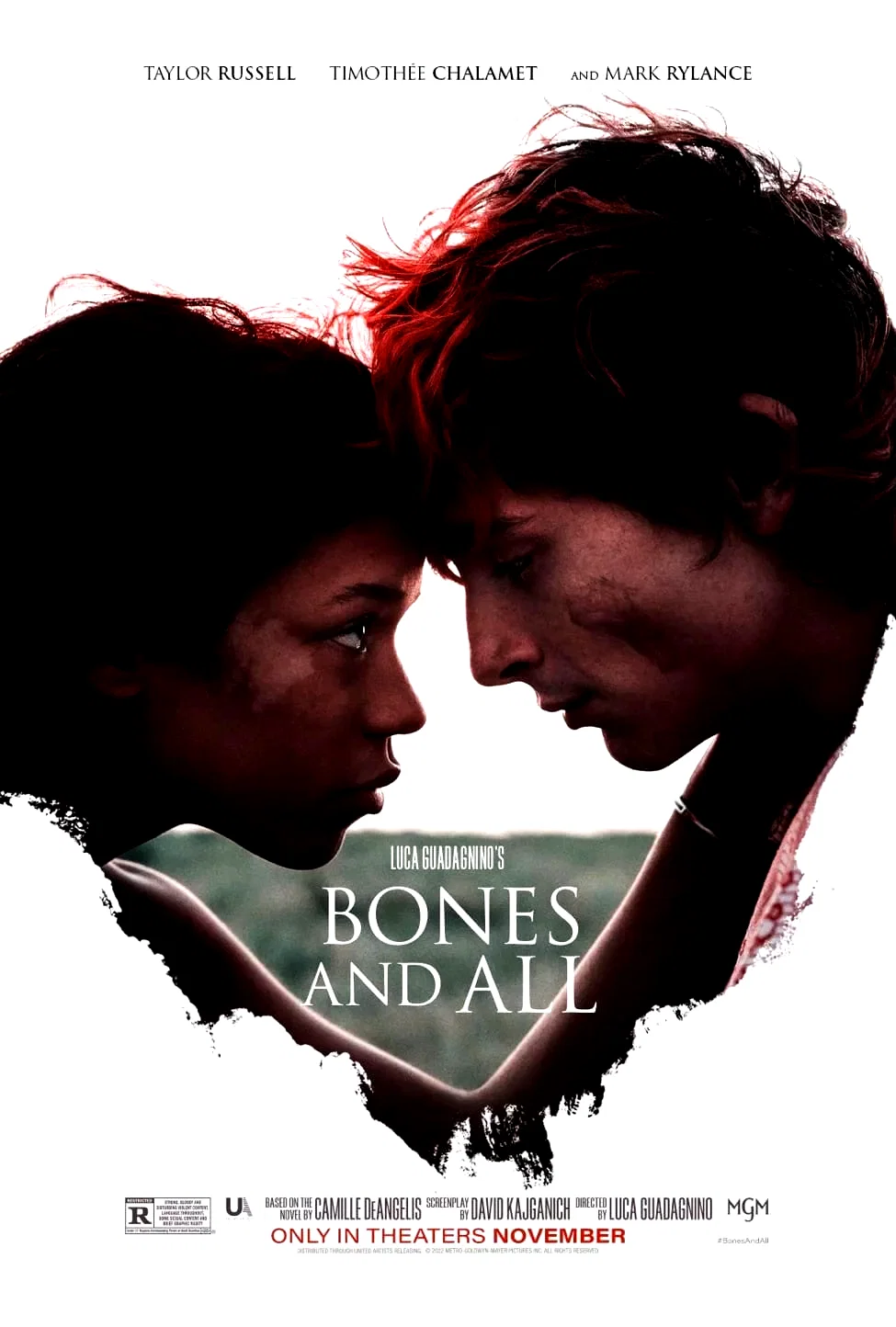 Photo 8 du film : Bones and All