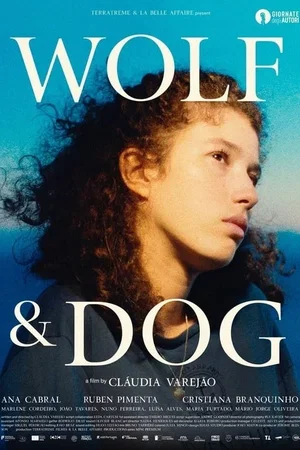 Photo 1 du film : Loup & Chien
