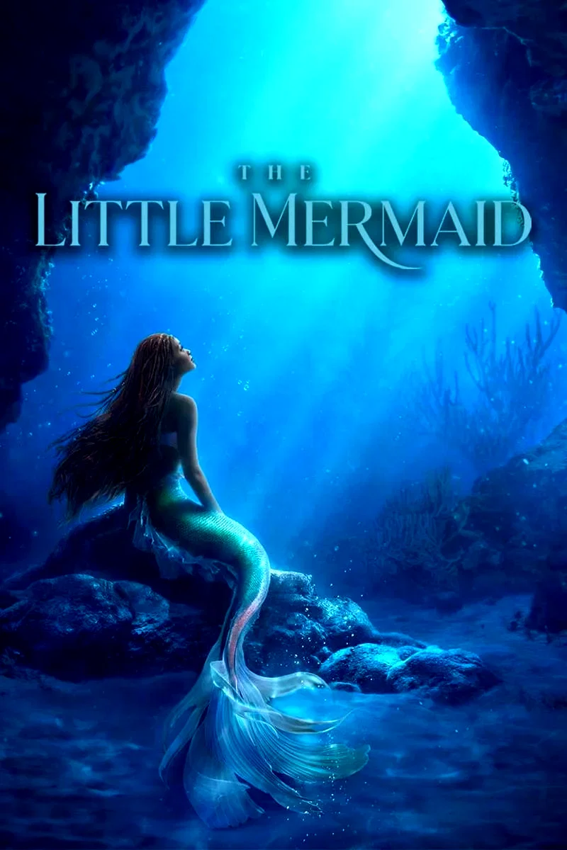 Photo 6 du film : La Petite Sirène