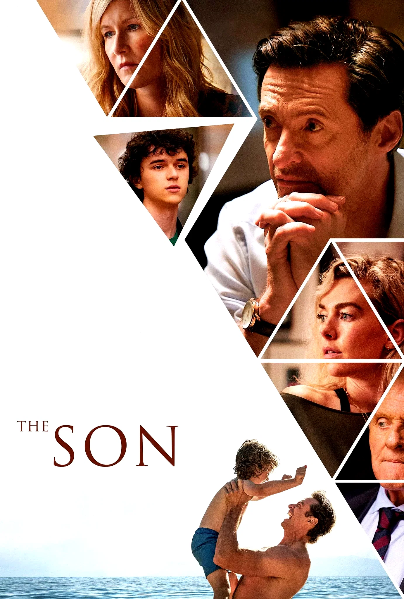 Photo 3 du film : The Son