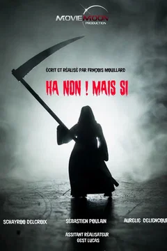 Affiche du film Ha non ! Mais si