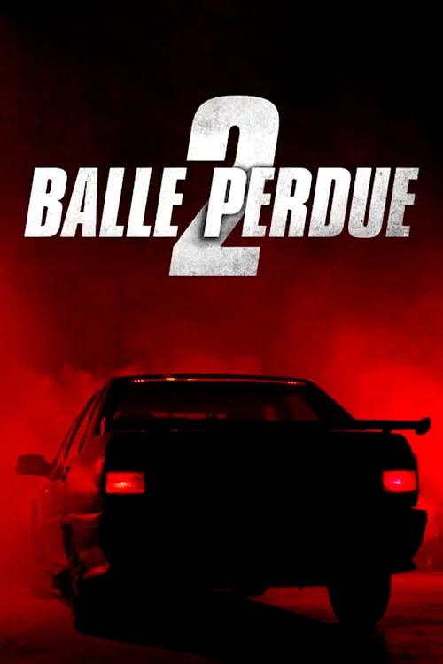 Photo 5 du film : Balle perdue 2