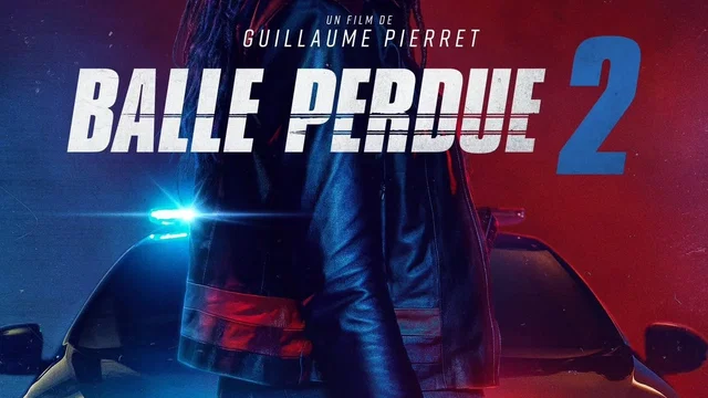 Affiche du film : Balle perdue 2