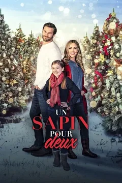 Affiche du film Un sapin pour deux