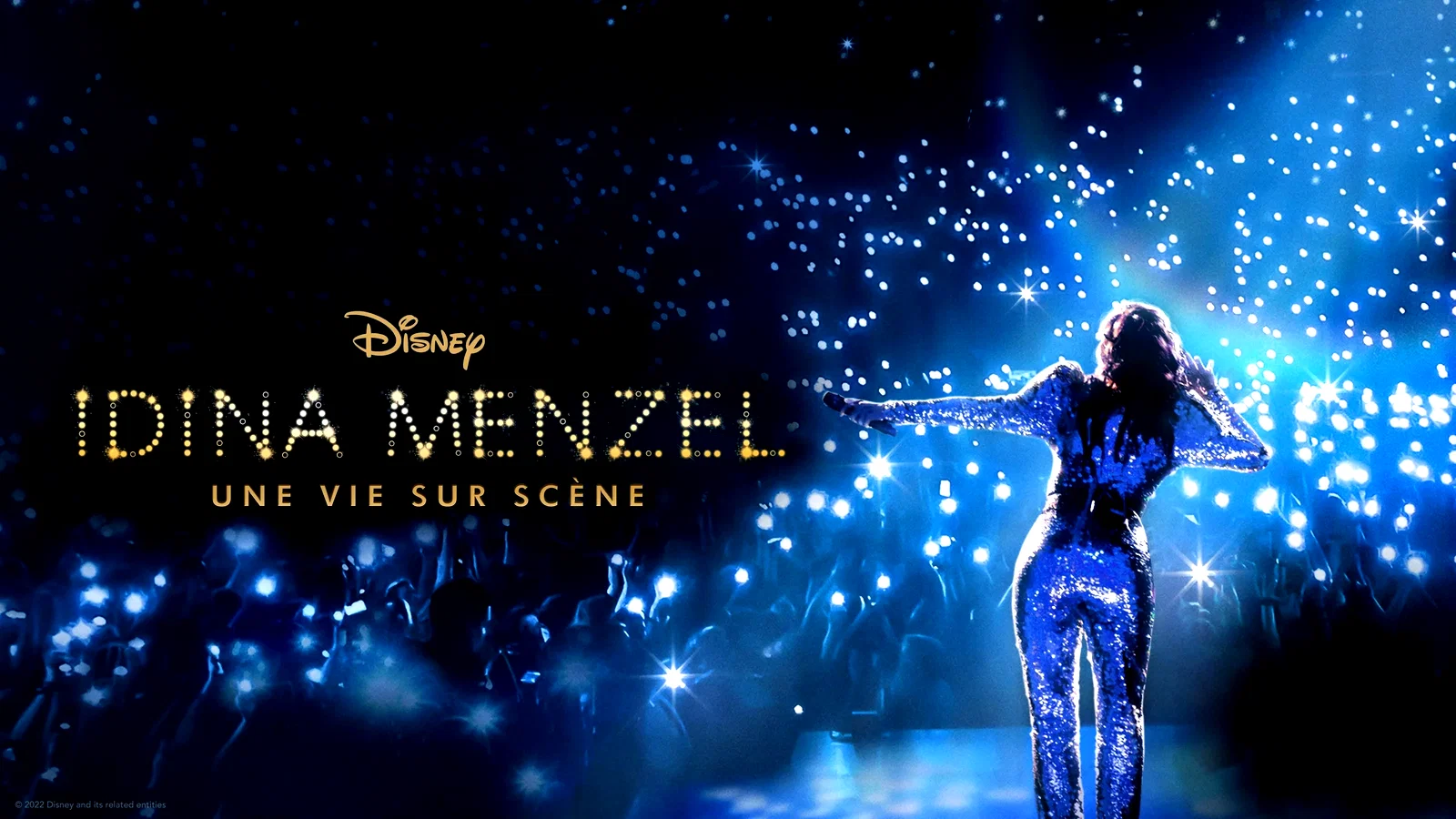 Photo du film : Idina Menzel : une vie sur scène