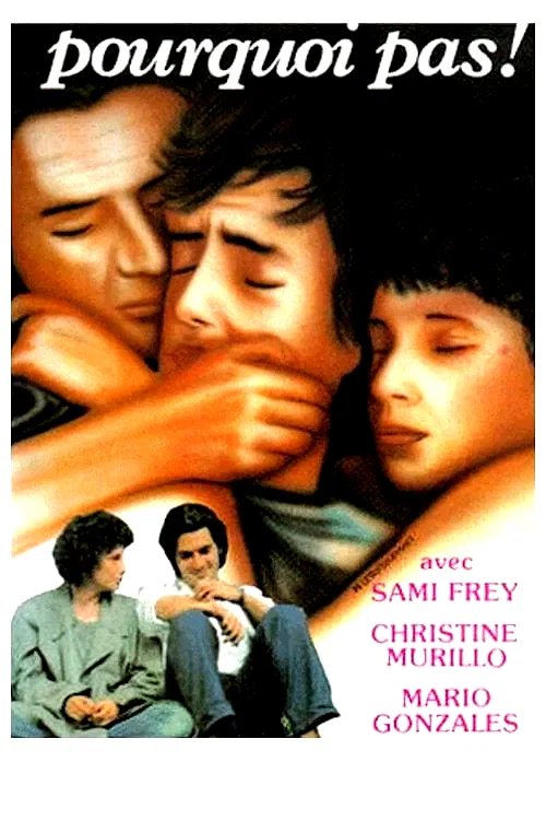 Affiche du film : Pourquoi pas !