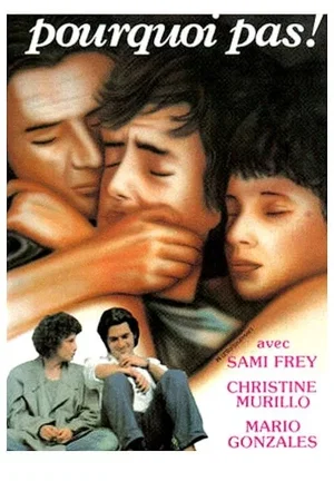 Affiche du film : Pourquoi pas !