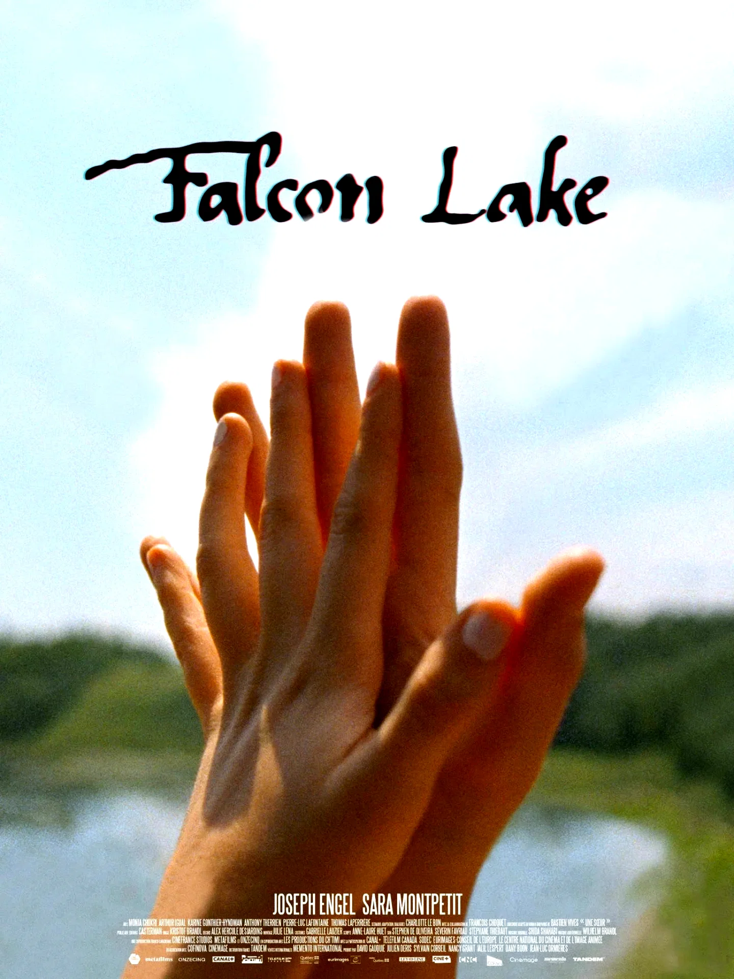Affiche du film : Falcon Lake