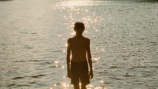Affiche du film : Falcon Lake