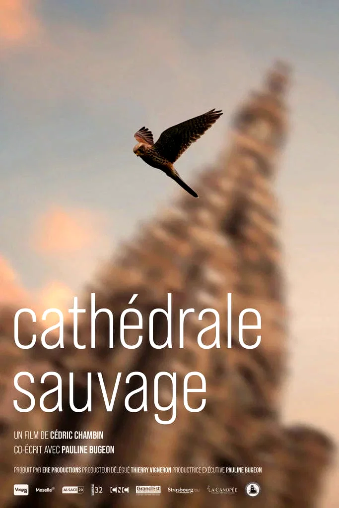 Affiche du film : Cathédrale Sauvage