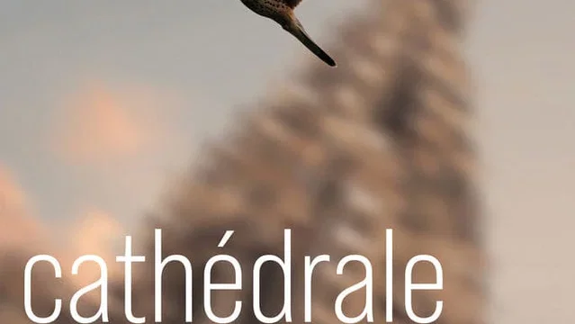 Affiche du film : Cathédrale Sauvage