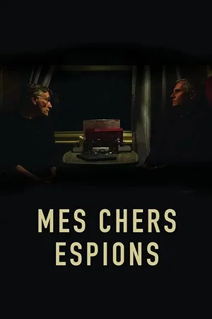 Affiche du film : Mes chers espions