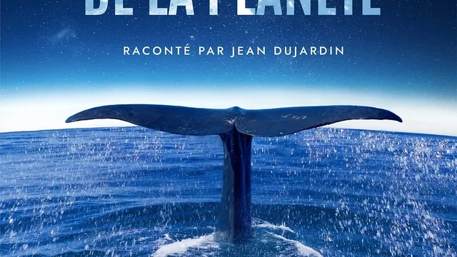 Affiche du film : Les Gardiennes de la planète