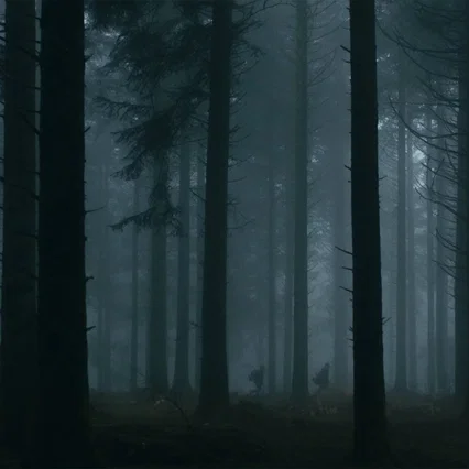 Miniature photo du film : Le Cœur Noir des Forêts