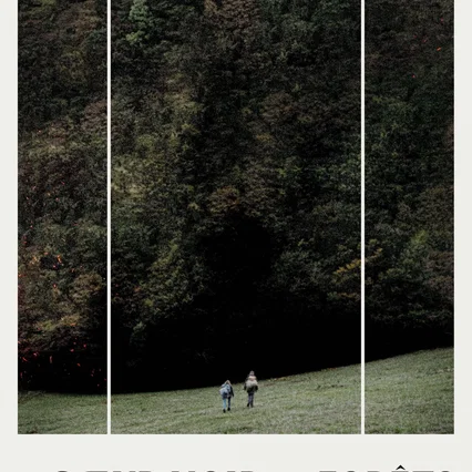 Miniature photo du film : Le Cœur Noir des Forêts
