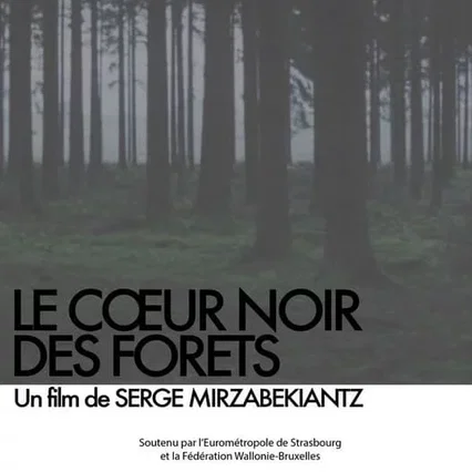 Miniature photo du film : Le Cœur Noir des Forêts