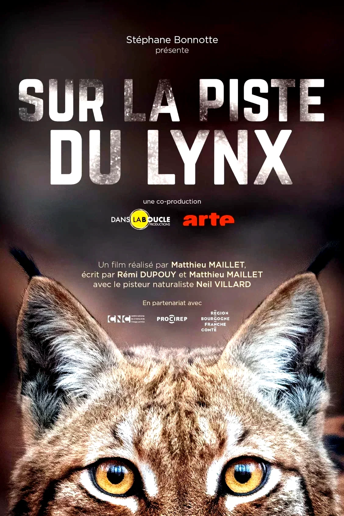 Affiche du film : Sur la piste du lynx