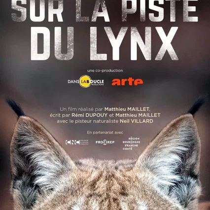 Miniature photo du film : Sur la piste du lynx