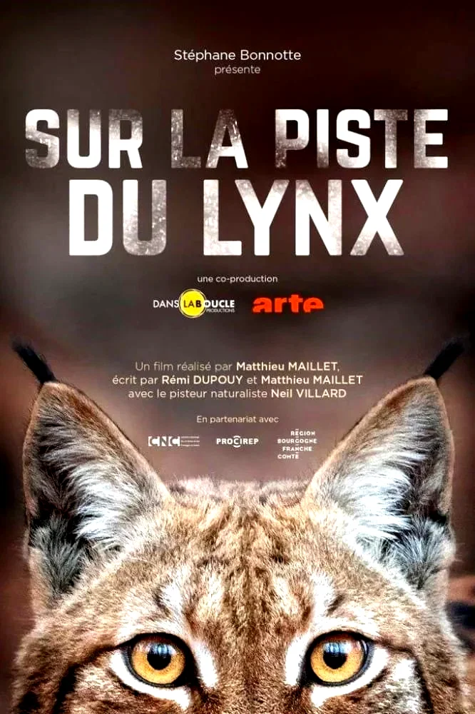 Photo du film : Sur la piste du lynx