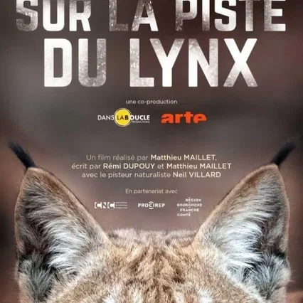 Miniature photo du film : Sur la piste du lynx