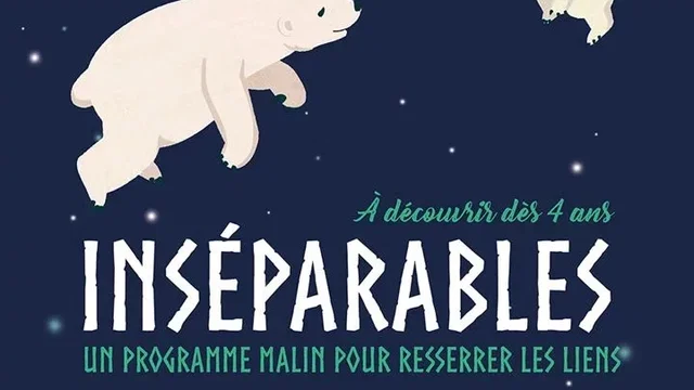 Affiche du film : Inséparables