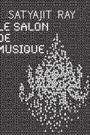 Photo 4 du film : Le salon de musique