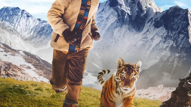 Affiche du film : Le Nid du Tigre
