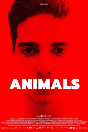 Photo 1 du film : Animals