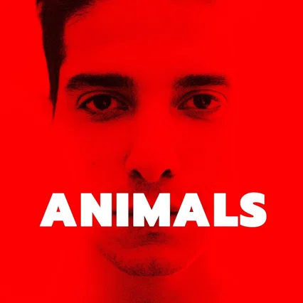 Miniature photo du film : Animals