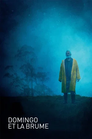 Affiche du film : Domingo et la brume