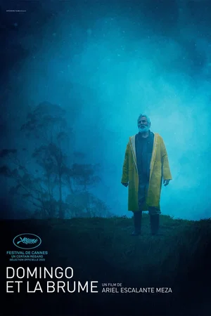 Photo 2 du film : Domingo et la brume