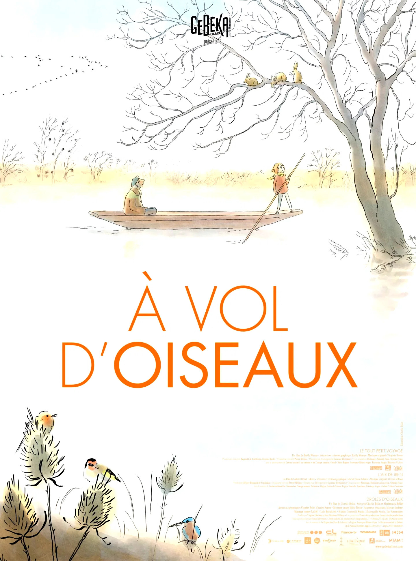 Affiche du film : A Vol d’oiseaux