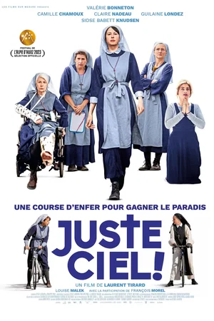 Affiche du film : Juste ciel !
