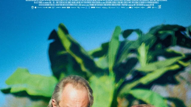 Affiche du film : Normale