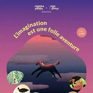 Affiche du film : L'imagination est une folle aventure