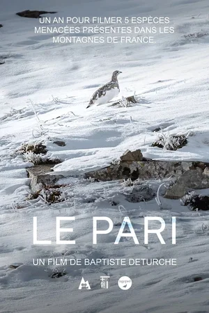 Affiche du film : Le pari