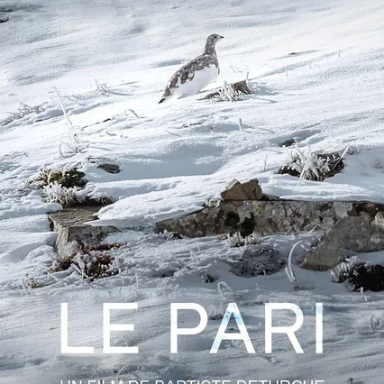 Miniature photo du film : Le pari