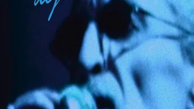 Affiche du film : Christophe… définitivement