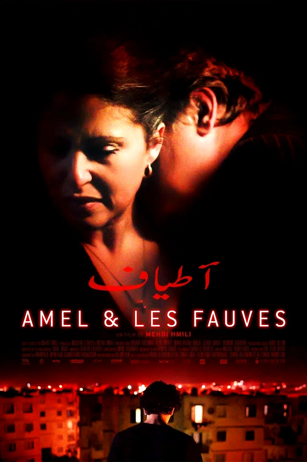 Affiche du film : Amel et les fauves