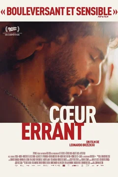 Affiche du film Coeur errant